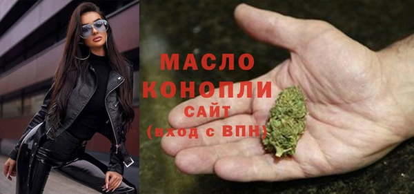 индика Медвежьегорск